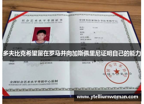 多夫比克希望留在罗马并向加斯佩里尼证明自己的能力