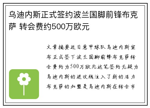 乌迪内斯正式签约波兰国脚前锋布克萨 转会费约500万欧元